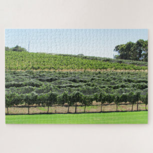 Puzzle viñas de uva