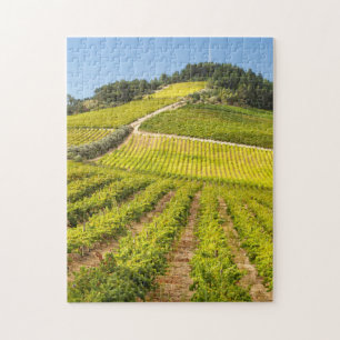 Puzzle Viñedo, Stellenbosch, Cabo Occidental