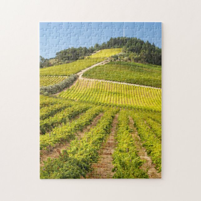 Puzzle Viñedo, Stellenbosch, Cabo Occidental (Vertical)