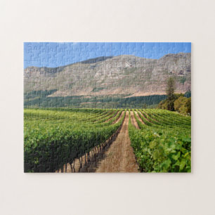 Puzzle Viñedos de Groot Constantia Wine Estate