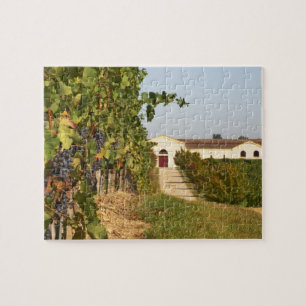 Puzzle Viñedos, vides de petit verdot y la bodega en