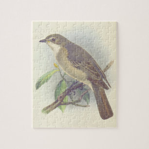 Puzzle Viñeta, pájaro encaramado en una rama