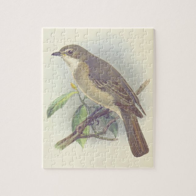 Puzzle Viñeta, pájaro encaramado en una rama (Vertical)
