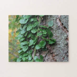 Puzzle Vino Verde Lúgubre Creciendo En La Naturaleza Del