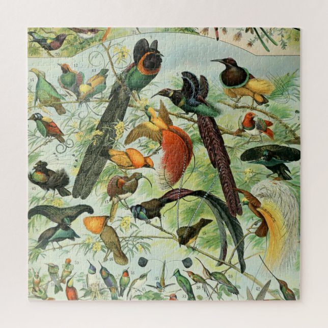 Puzzle Vintage Birds Old Book Illustration Art Animals (Vertical)