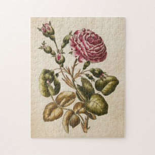 Puzzle Vintage Botanical Floral Rose
