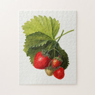 Puzzle Vintage Bunch of Strawberries Pintado de color de