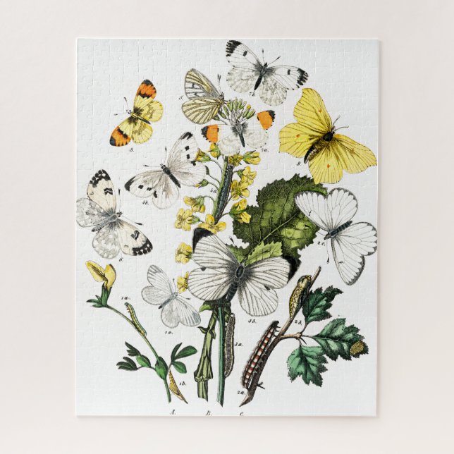 Puzzle Vintage Butterflies (Vertical)