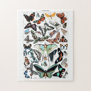 Puzzle Vintage Butterflies Illustration