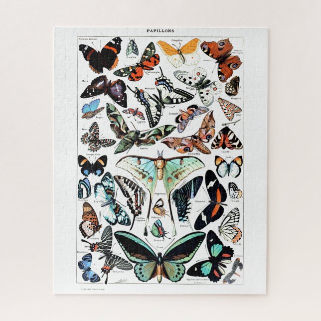 Puzzle Vintage Butterflies Illustration (Vertical)