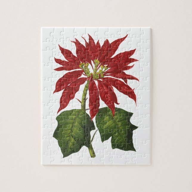Puzzle Vintage Christmas, Red Poinsettia WinPlanta (Vertical)