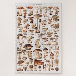 Puzzle Vintage Colorful Mushrooms By Adolphe Millot