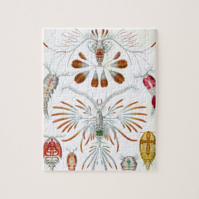 Puzzle Vintage Copepoda Ocean Animals by Ernst Haeckel (Vertical)