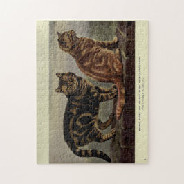 Puzzle Vintage Cute Cats Brown Naranja Tabby Corto