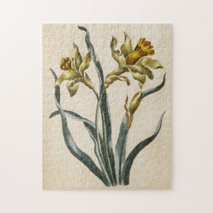 Puzzle Vintage Daffodil Froral Botánico
