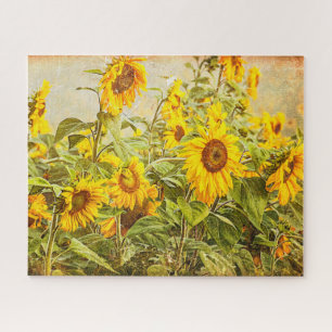 Puzzle Vintage de campo de girasol Floral amarilla