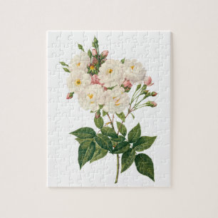 Puzzle Vintage Flowers Floral Blush Noisette Rose Redoute
