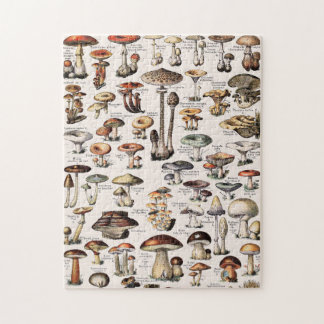 Puzzle Vintage Mushrooms By Adolphe Millot