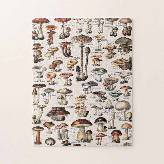 Puzzle Vintage Mushrooms By Adolphe Millot (Vertical)