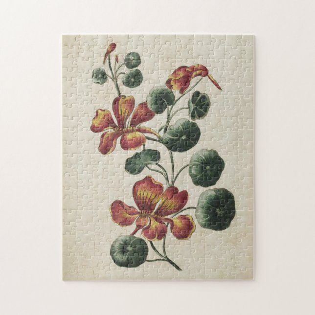 Puzzle Vintage Nasturcio Floral Botánico (Vertical)
