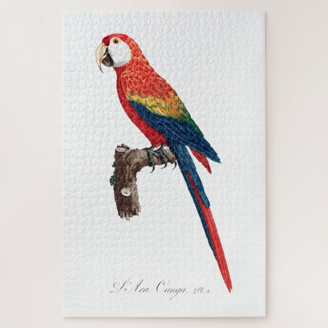 Puzzle Vintage Parrot - Birds Old Illustration Art (Vertical)