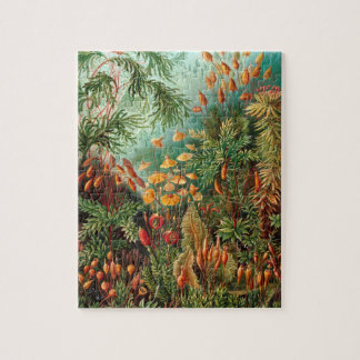 Puzzle Vintage Plantas Ilustracion de la naturaleza decor
