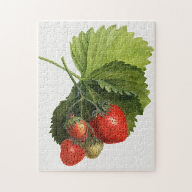 Puzzle Vintage Strawberry (Vertical)