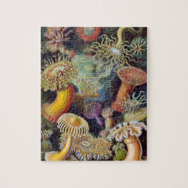 Puzzle Vintage Underwater Sea Anemones por Ernst Haeckel