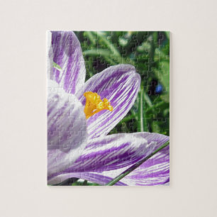 Puzzle Violet Spring Crocus
