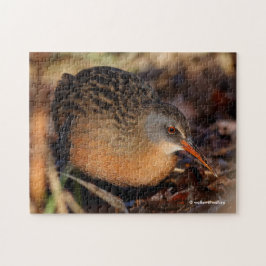 Puzzle Virginia Rail in the Undercel