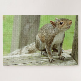 Puzzle Visitante de ardilla