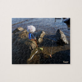 Puzzle Vissende Fubby op een steen.