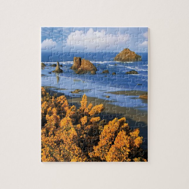 Puzzle Vista A La Playa De Oregón En Bandon (Vertical)