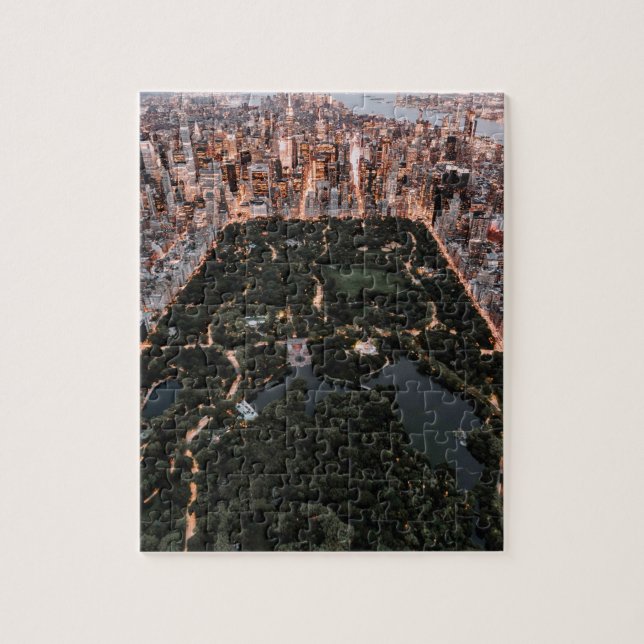 Puzzle Vista aérea de NYC y Central Park (Vertical)