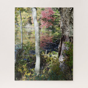 Puzzle vista al lago