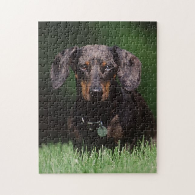Puzzle Vista de Dachshund moteado (Vertical)