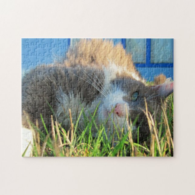 Puzzle Vista de fallos de djoneill (Horizontal)