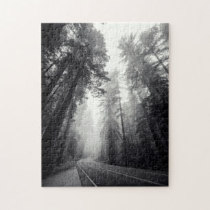 Puzzle Vista de los árboles de la secoya en bosque