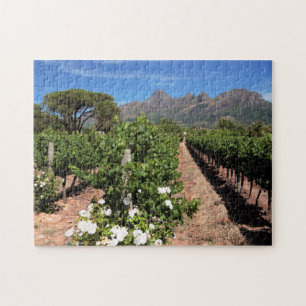 Puzzle Vista De Viñedos. Stellenbosch