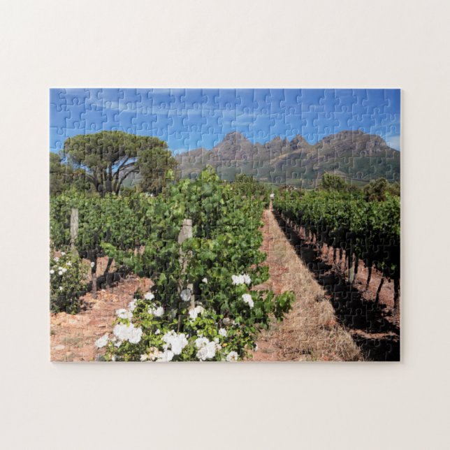 Puzzle Vista de viñedos. Stellenbosch (Horizontal)
