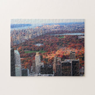 Puzzle Vista desde arriba: Otoño en Central Park 01