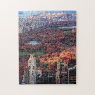 Puzzle Vista desde arriba: Otoño en Central Park 01