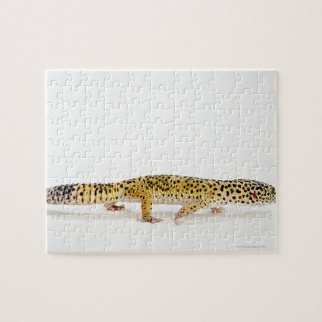 Puzzle Vista lateral del lagarto de gecko leopardo (Horizontal)