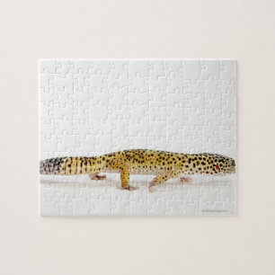 Puzzle Vista lateral del lagarto del gecko del leopardo