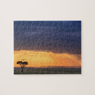 Puzzle Vista panorámica de buitre y árbol de acacia