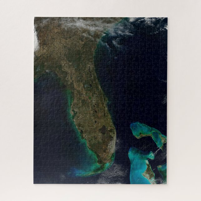 Puzzle Vista Satelital De Florida. (Vertical)