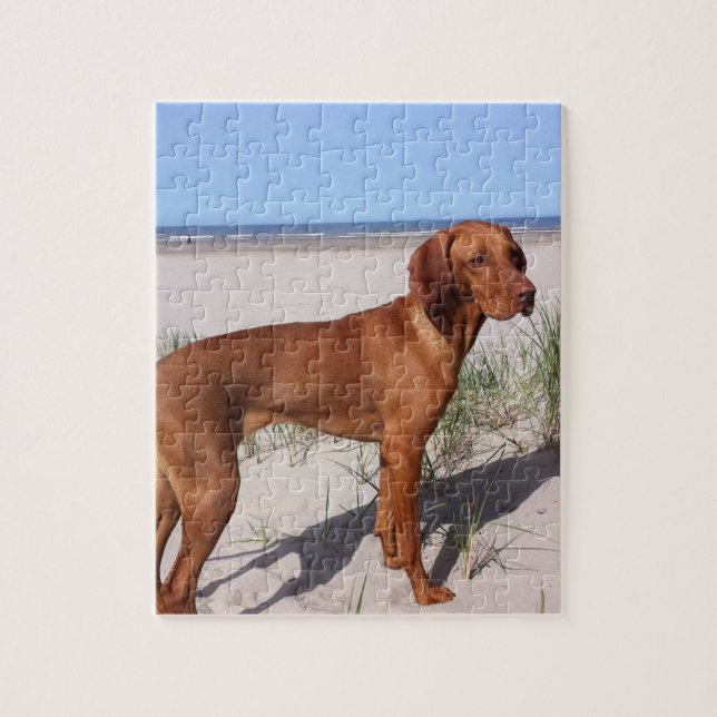 Puzzle vizsla completo (Vertical)