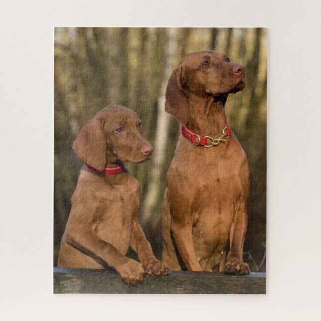 Puzzle Vizsla Hound Dogs (Vertical)