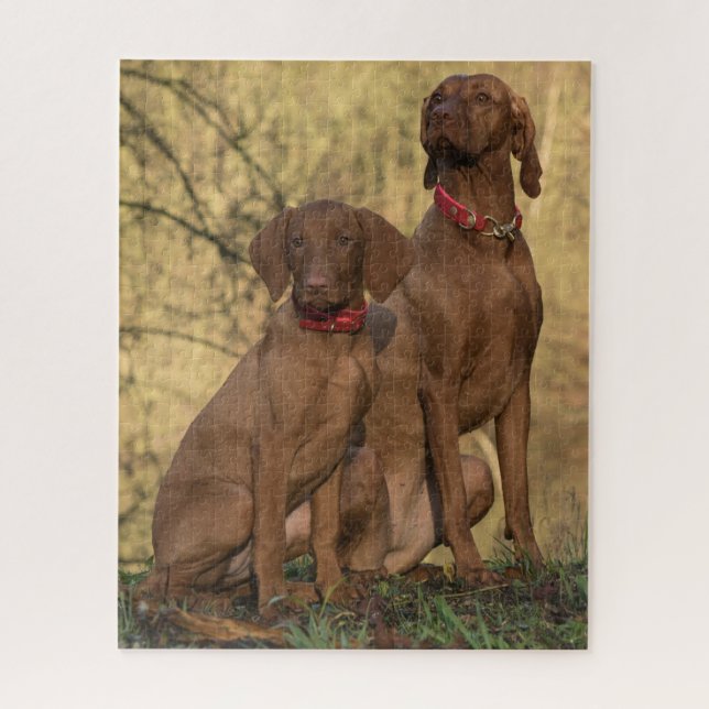 Puzzle Vizsla Hound Dogs (Vertical)
