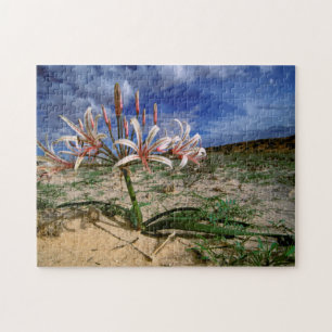 Puzzle Vlei Lily (Nerine Laticoma) en Flor